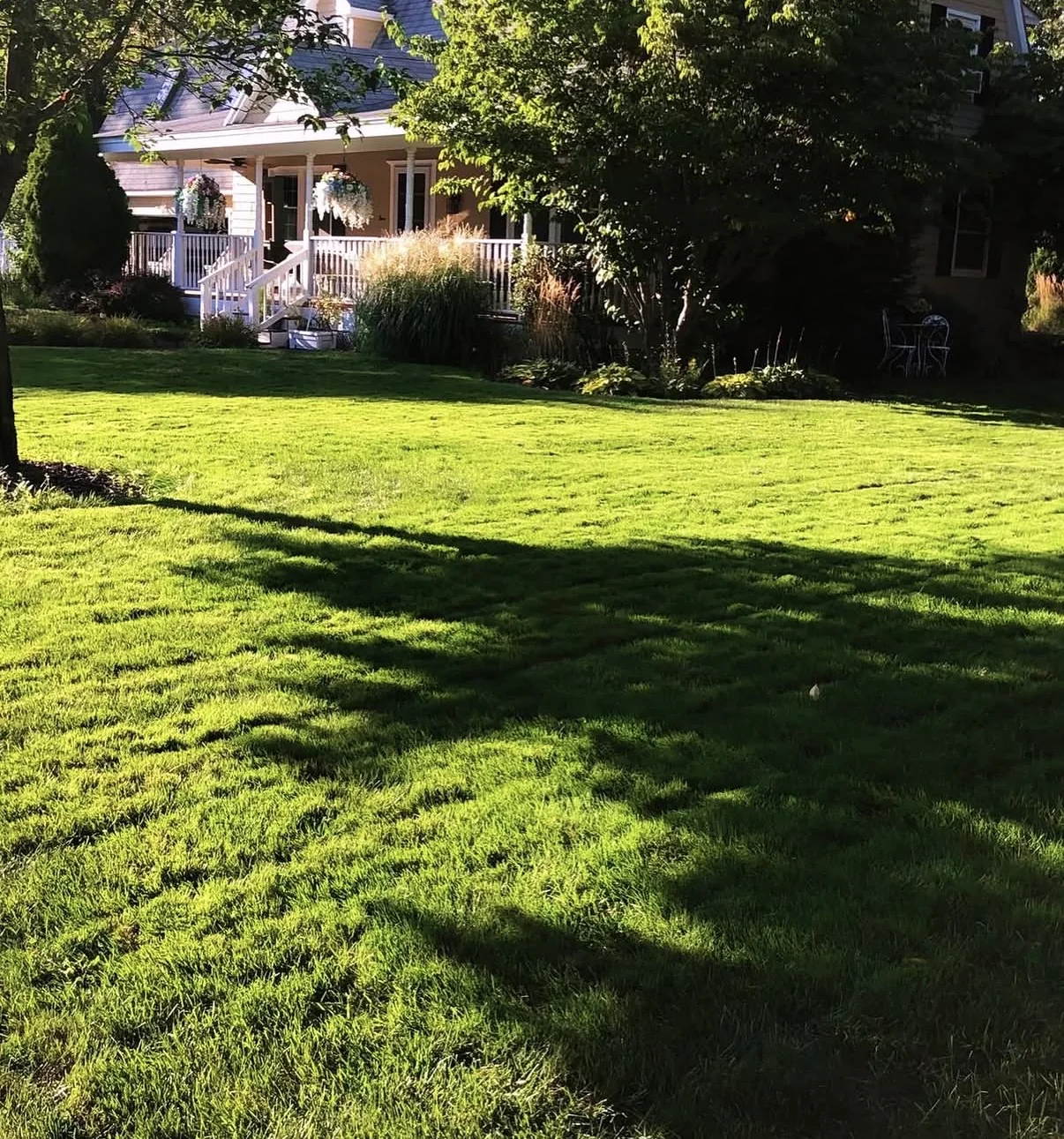 Bright green lawn in front of a local home