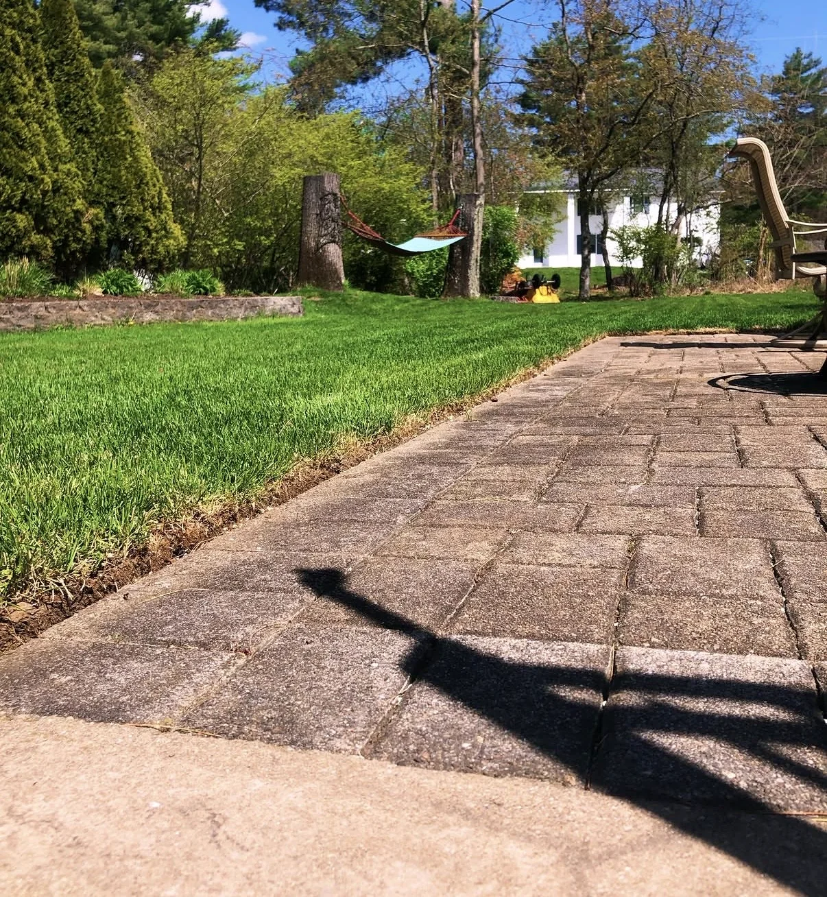 Clean patio edge beside a healthy green lawn