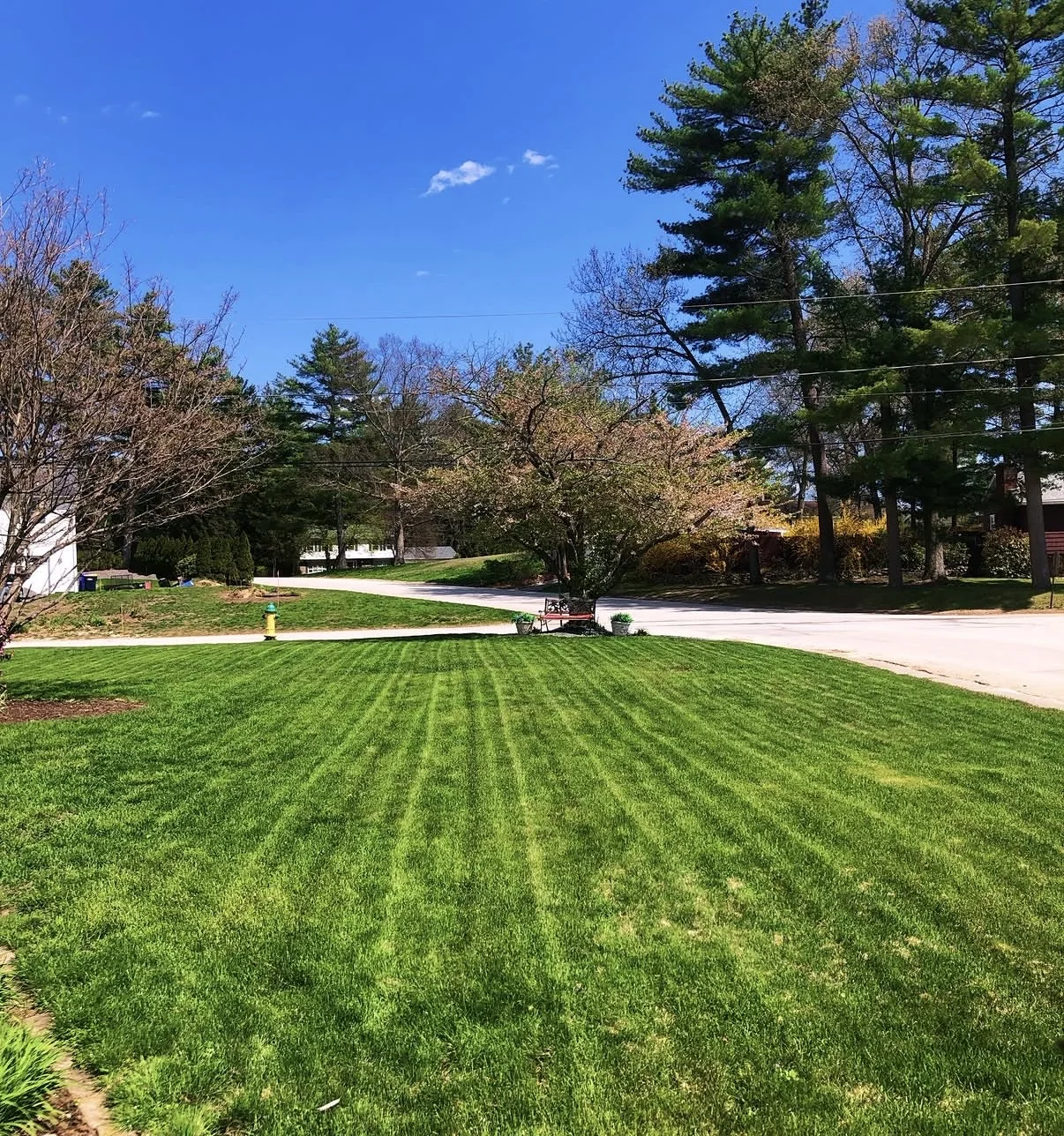 Freshly mowed green front lawn with clean stripes