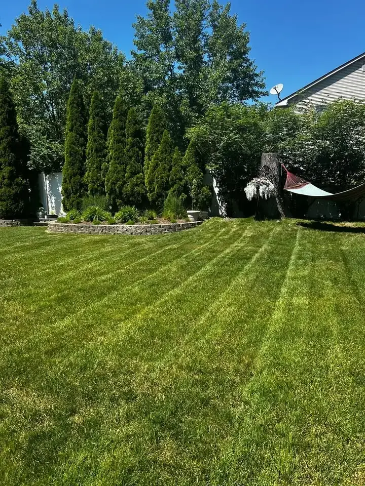 Striped backyard lawn with a maintained garden border