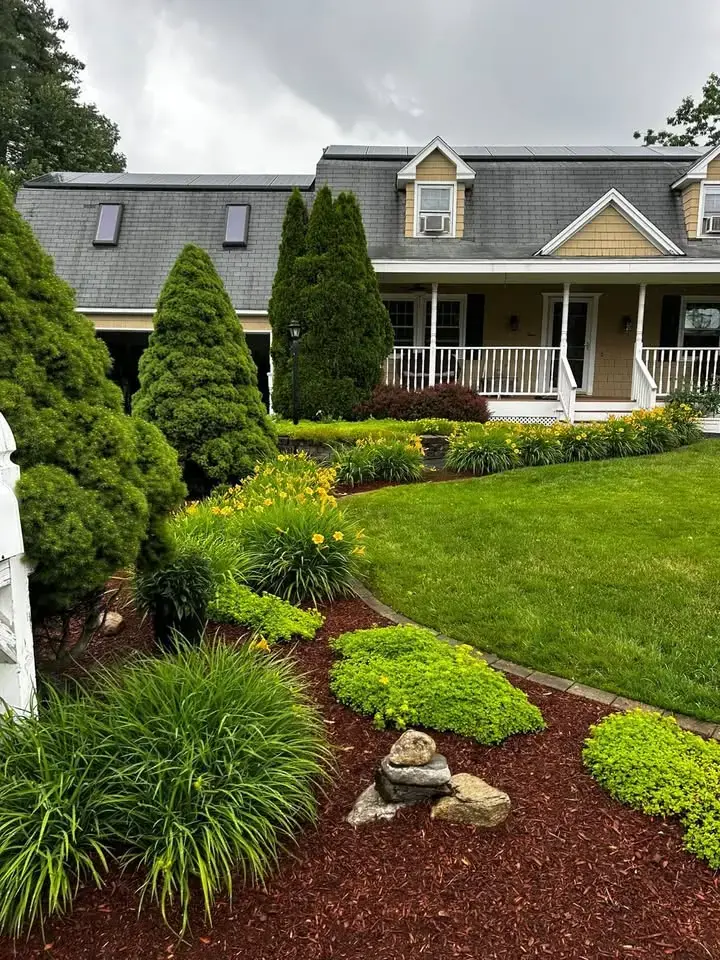 Maintained garden bed with fresh mulch and flowering plants