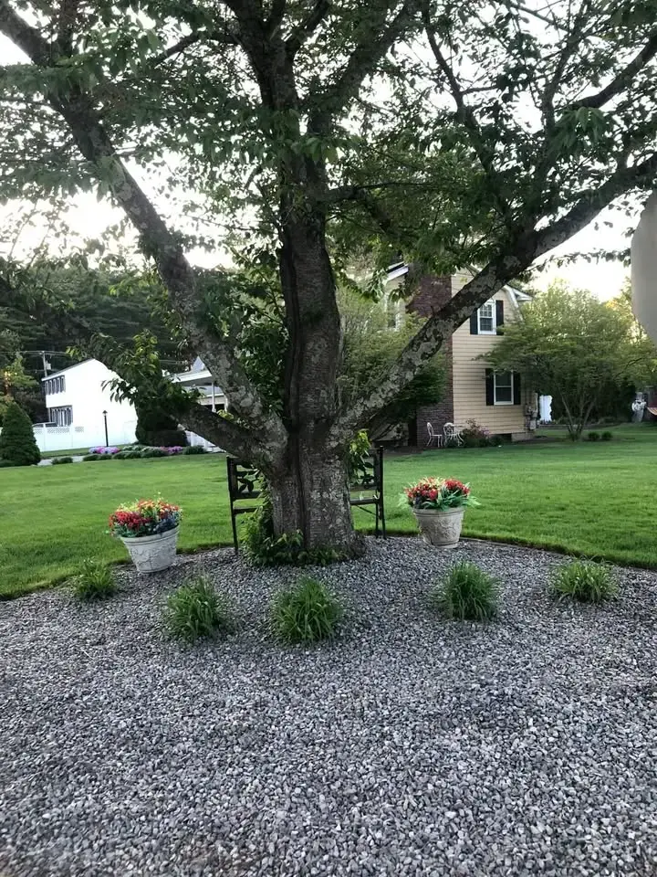 Decorative stone bed landscaped around a mature tree