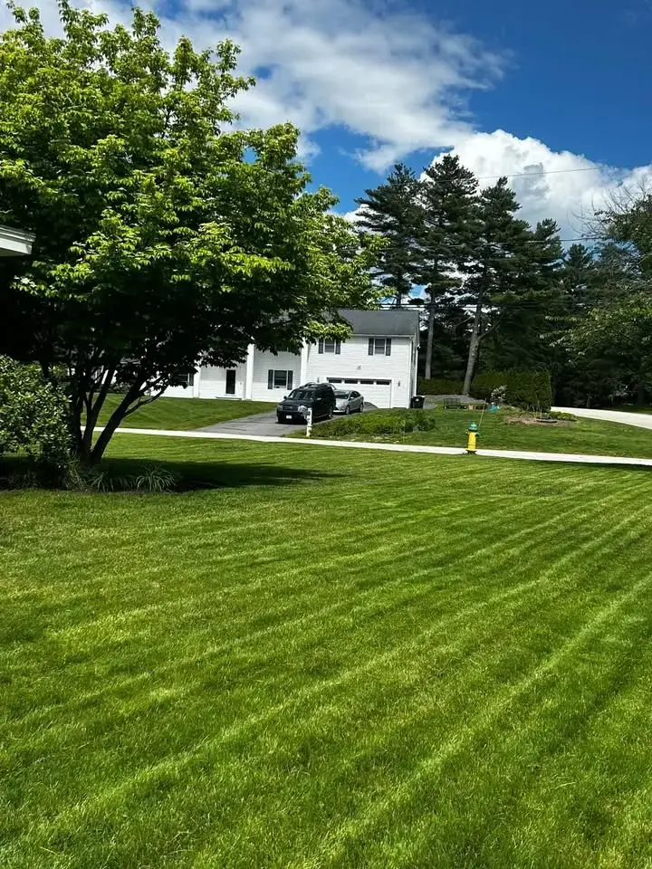 Freshly striped green front lawn